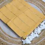 Soft Pure 100 Count Mulmul Fawn Sequins Zari Work Cotton Saree